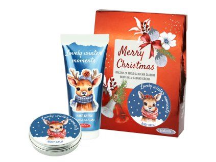 MERRY CHRISTMAS LOVELY WINTER PP