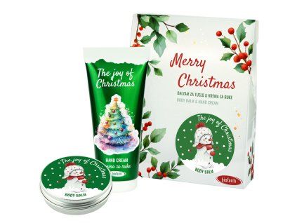 MERRY CHRISTMAS THE JOY PP