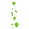 cockta byl