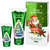 The joy of Christmas PP LK